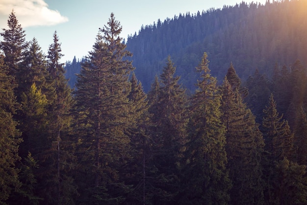 Mooi berglandschap