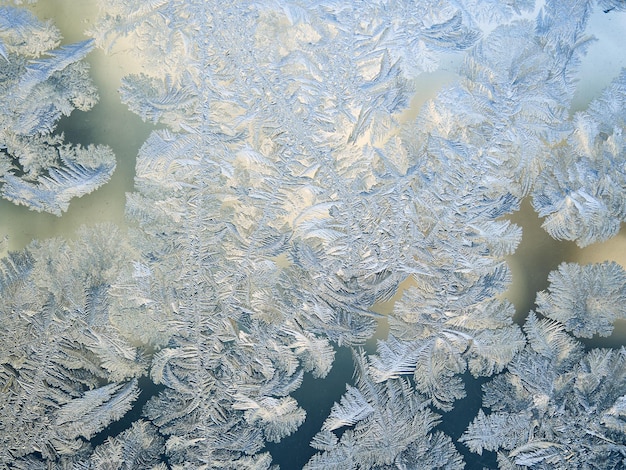 Mooi bevroren patroon op vensterglas in het ijzige winterseizoen.