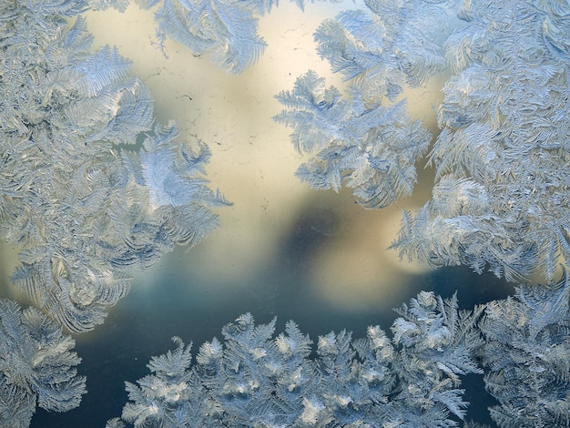 Mooi bevroren patroon op vensterglas in het ijzige winterseizoen.