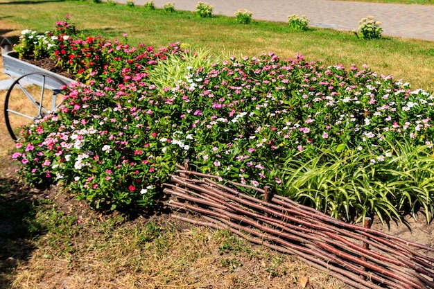 Mooi bloembed in een park