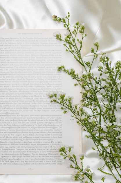 Mooi bloemconcept Boeket van witte snijdersbloem op de boeken over witte doekachtergrond