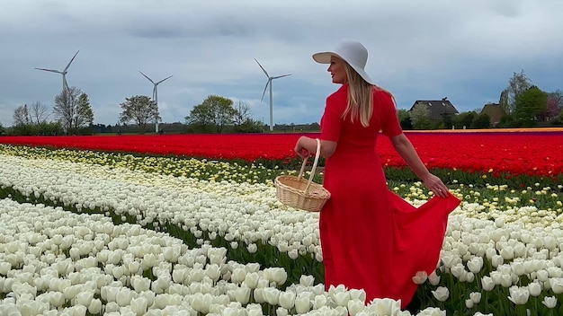 Mooi blond meisje in rode jurk en witte strohoed met rieten mand op kleurrijke tulpenvelden