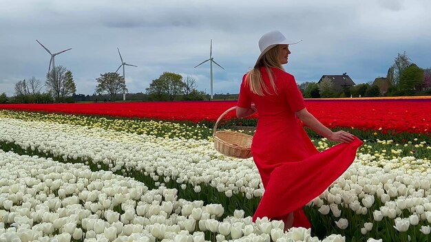 Mooi blond meisje in rode jurk en witte strohoed met rieten mand op kleurrijke tulpenvelden