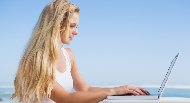 Mooi blonde die haar laptop met behulp van bij het strand