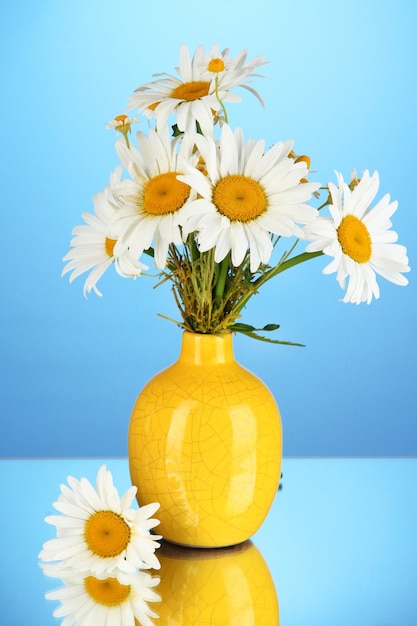 Mooi boeket chamomiles in vaas op kleur achtergrond