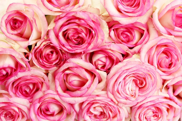 Mooi boeket roze rozen, close-up