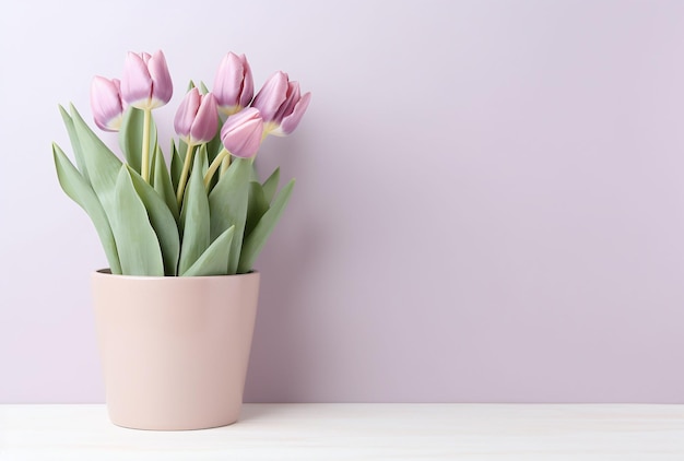 Mooi boeket roze tulpen bloemen in een pot op roze achtergrond met bokeh-effect