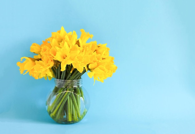 Mooi boeket van gele narcissen in de lente in transparante glazen vaas Bloemensamenstelling of narcissen op blauwe achtergrond