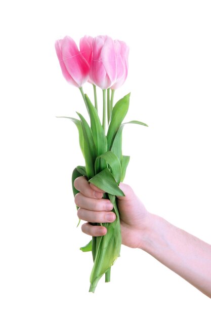Mooi boeket van roze tulpen in de hand van de man, geïsoleerd op wit