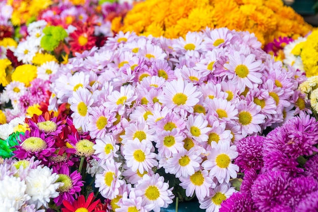 Mooi boeket van verschillende soorten bloemen