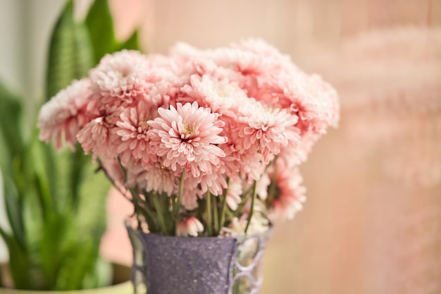 Mooi boeket van zachte roze asterbloemen in vaas