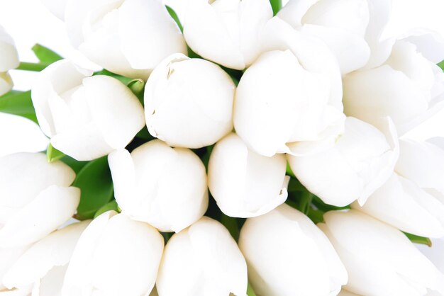 Foto mooi boeket witte tulpen close-up