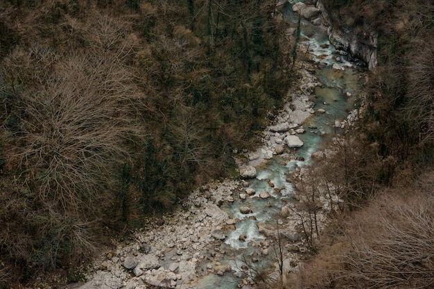 Mooi bovenaanzicht van azuurblauwe bos rivier stroomt tussen rotsen in Martvili canyon