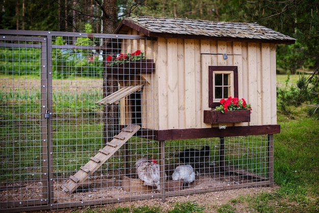 mooi bruin houten kippenhok huis op de boerderij