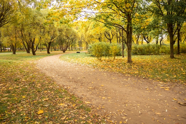 Foto mooi de herfstlandschap met gele bomen