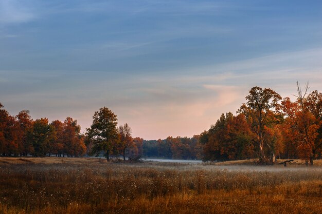 Mooi de herfstlandschap