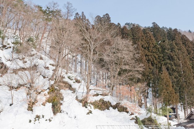 Mooi de winterlandschap op een zonnige dag