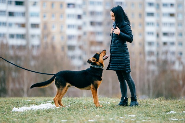 Mooi donkerbruin meisje dat haar hond in openlucht bekijkt