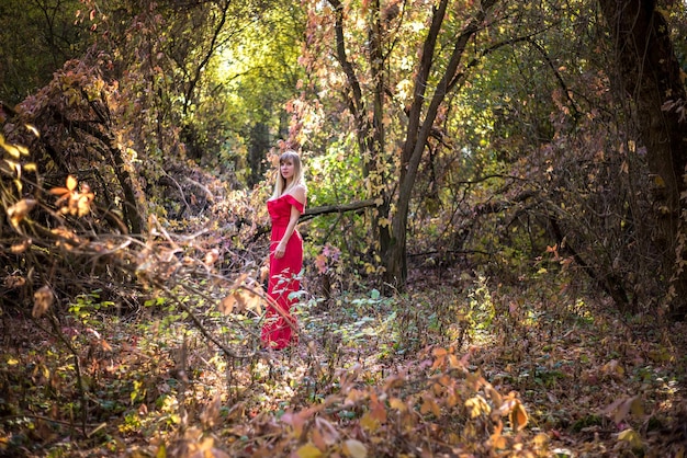 Mooi elfmeisje in rode jurk in het sprookje van de herfstbosbosfantasie