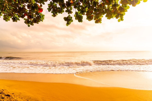 Mooi en leeg strand bij zonsopgang