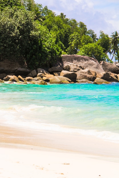 Mooi exotisch tropisch strand in Seychellen