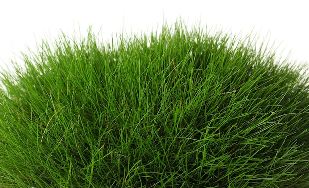 Mooi groen gras geïsoleerd op wit