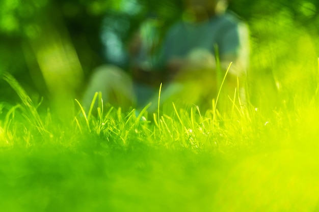 Mooi groen gras met een persoon die zich op de achtergrond concentreert