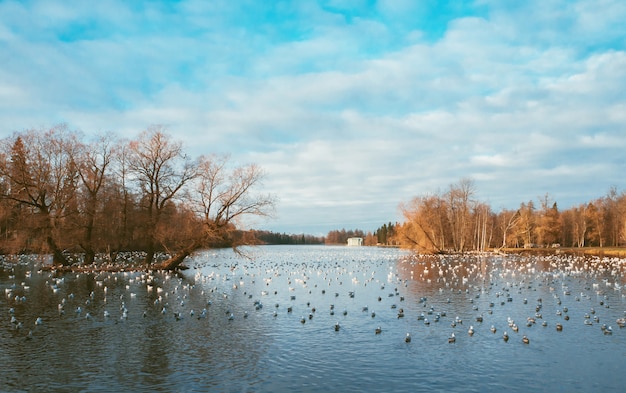 Mooi herfst landschap met een meer en vogels.