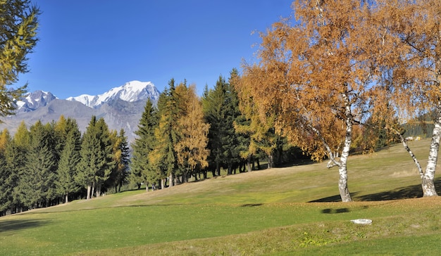 Mooi herfstlandschap in alpiene berg met witte achtergrond van Mont Blanc
