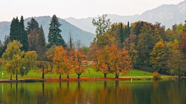 Foto mooi herfstlandschap rond lake bled met pilgrimage chur