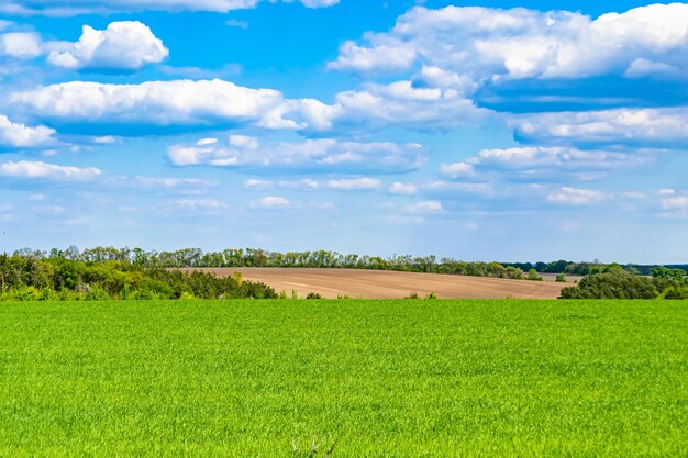 Mooi horizon landschap in het dorp weide op kleur natuurlijke achtergrond