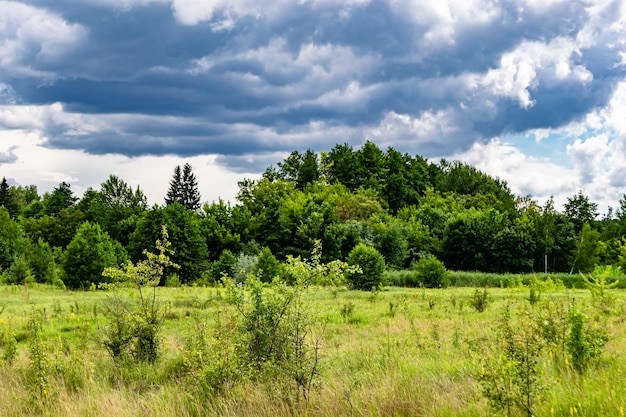 Mooi horizonlandschap in dorpsweide op kleur natuurlijke achtergrond fotografie bestaande uit horizonlandschap in weidedorp bij lange zegge horizon natuurlandschap in dorpsweide voor dieren