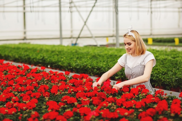 Mooi jong glimlachend meisje, arbeider met bloemen in serre