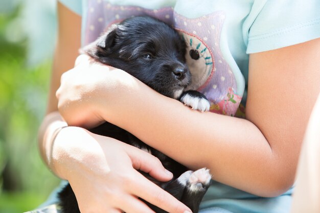 Mooi kindmeisje die met weinig puppy in openlucht in de zomer spelen.