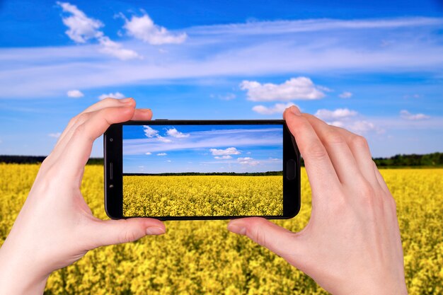 Mooi koolzaad veld op een zonnige dag. foto van de telefoon