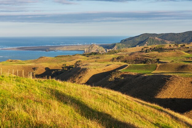 Mooi landelijk landschap van Nieuw-Zeeland bij zonsopgang