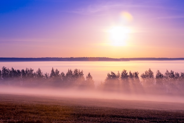 Mooi landschap bij zonsopgang in de zomer