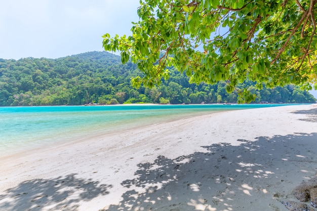 mooi landschap en helder water bij Similan-eiland, Andaman-Overzees, Phuket, Thailand