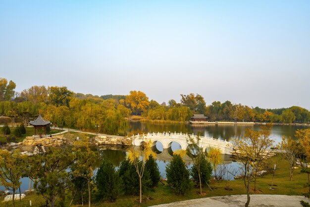 Mooi landschap in de herfstpark