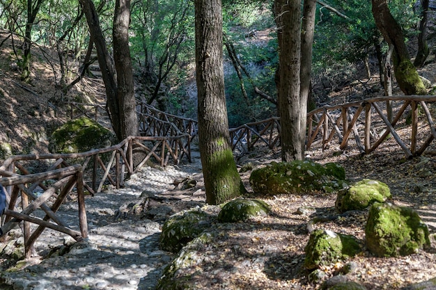 Mooi landschap in de natuur