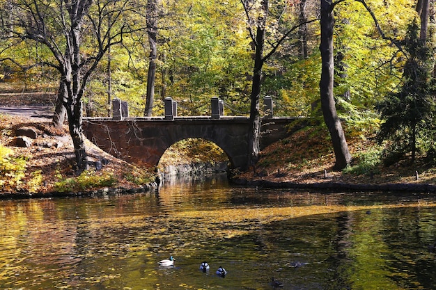 Mooi landschap in park