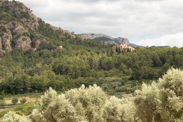 Mooi landschap met indrukwekkend mediterraan bergenklooster en bos met bewolkte hemel