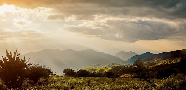 mooi landschap met zonlicht