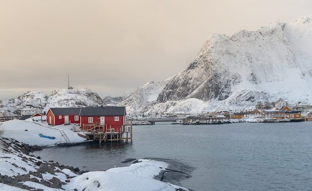 Mooi landschap op het eiland Lofoten