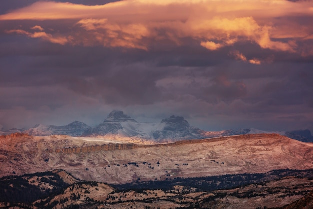 Mooi landschap van Beartooth Pass. Shoshone National Forest, Wyoming, Verenigde Staten. Zonsopgangscène.