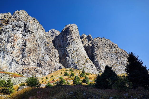 Mooi landschap van bergen