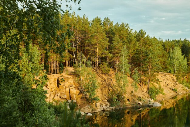 Foto mooi landschap van bos met meer