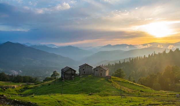 Mooi landschap van de zomer bergdal