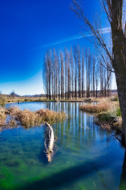 Mooi landschap van een rivier.