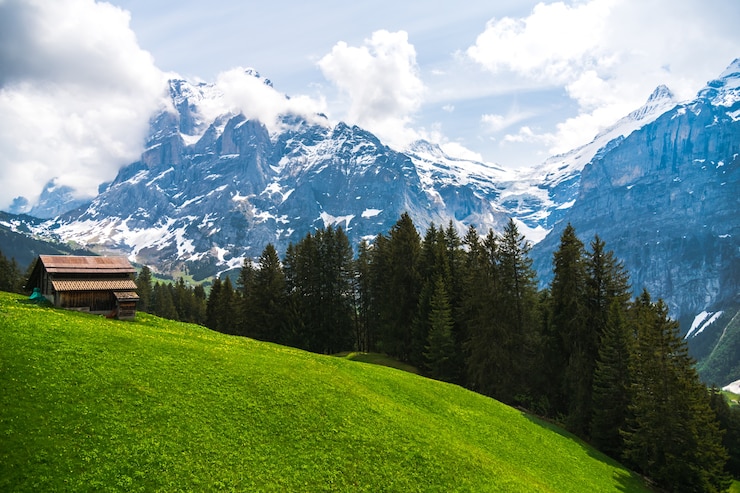Mooi landschap van Grindelwald, Zwitserland